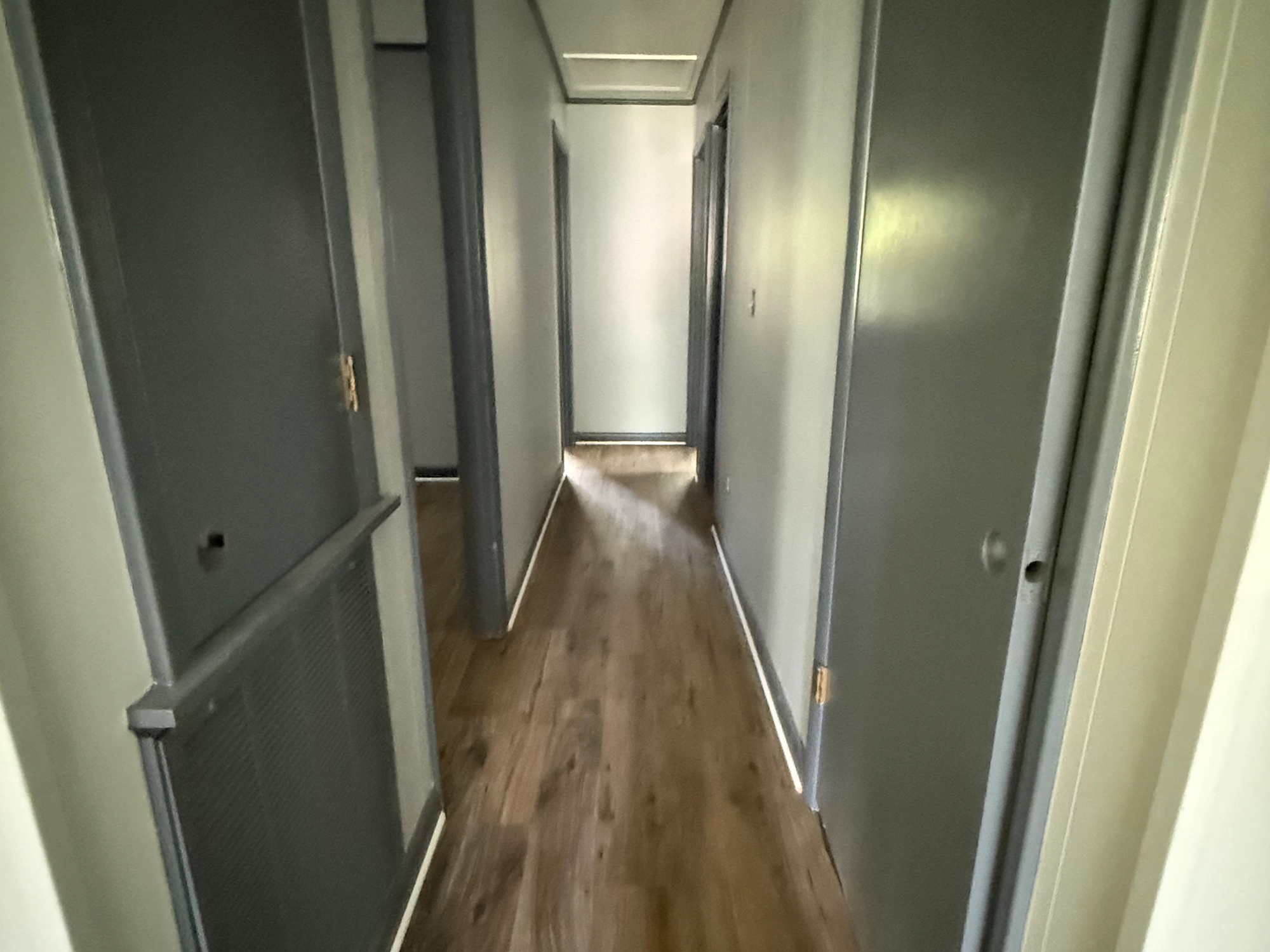 Flooring & Painting